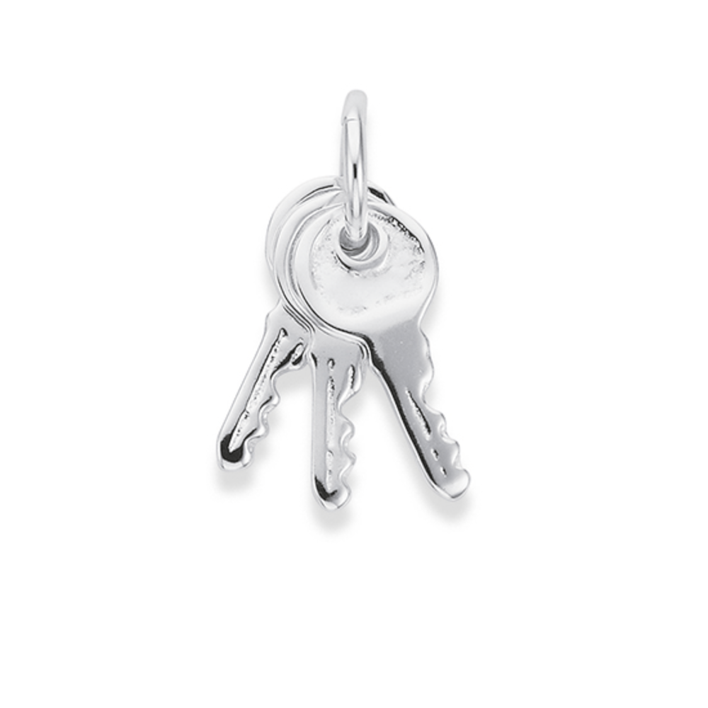 Silver on sale charms prouds